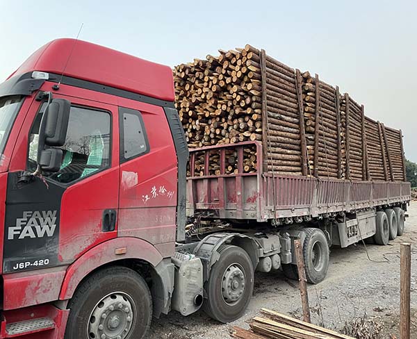 上海杉木桩装车 (7)