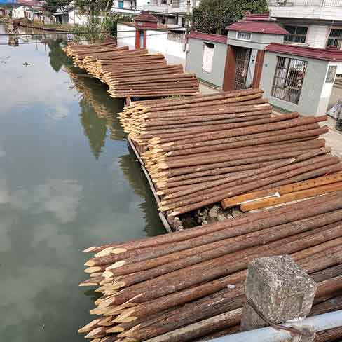 上海驳岸木桩