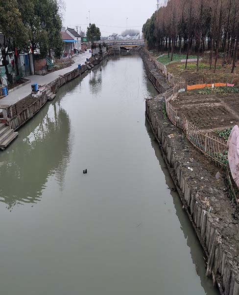 上海河道木桩