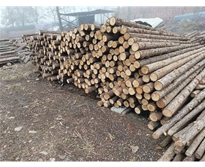 河道木桩的硬度指标如何衡量？