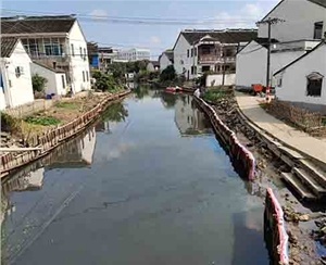 上海河道木桩
