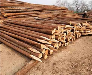 驳岸木桩防腐处理对环境有影响吗？