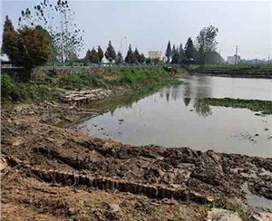 驳岸木桩不同防腐处理方法成本差异大吗？