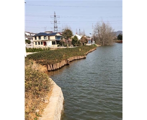 上海河道木桩