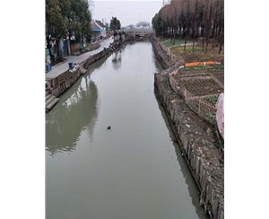 上海上海河道木桩