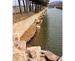 上海上海河道木桩