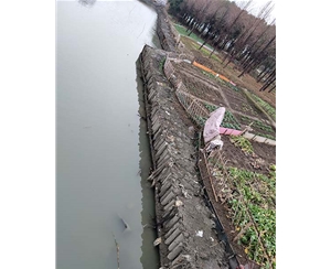 上海上海河道木桩